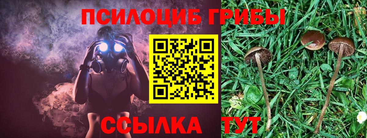 Вязники  Псилоцибиновые грибы Magic Shrooms  Вход с VPN 