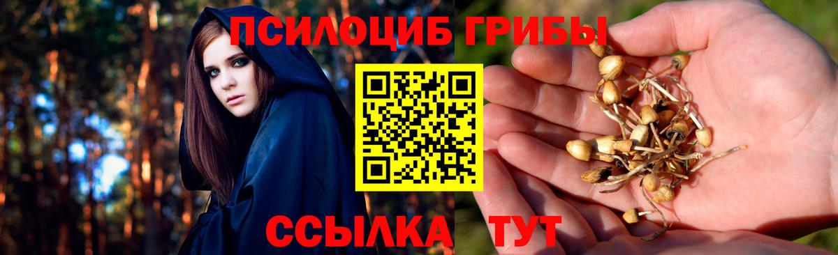 Псилоцибиновые грибы ЛСД Вязники